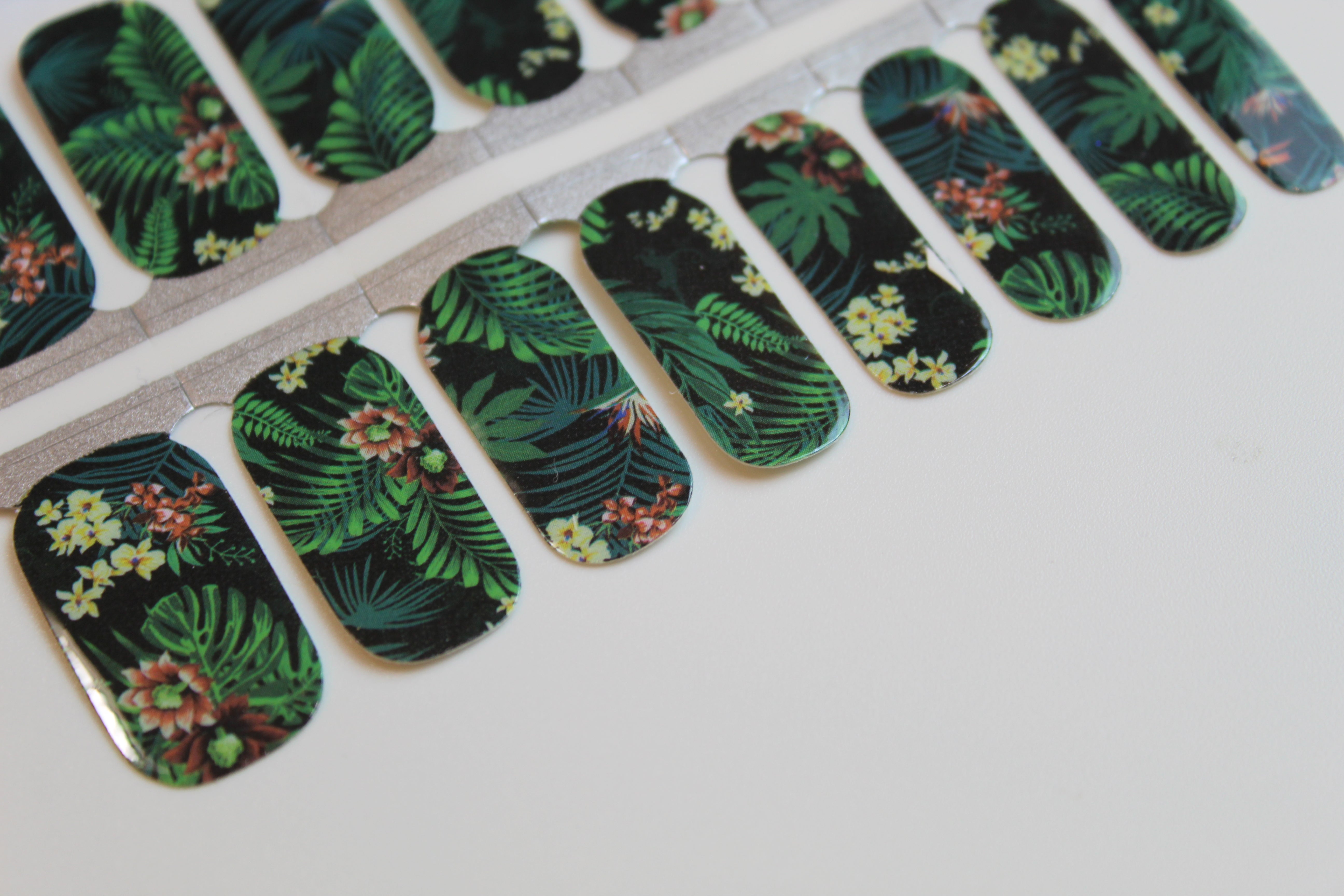 Rose Mallow Hibiscus