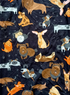 Day at the Dog Park - Women's Lounge Pant