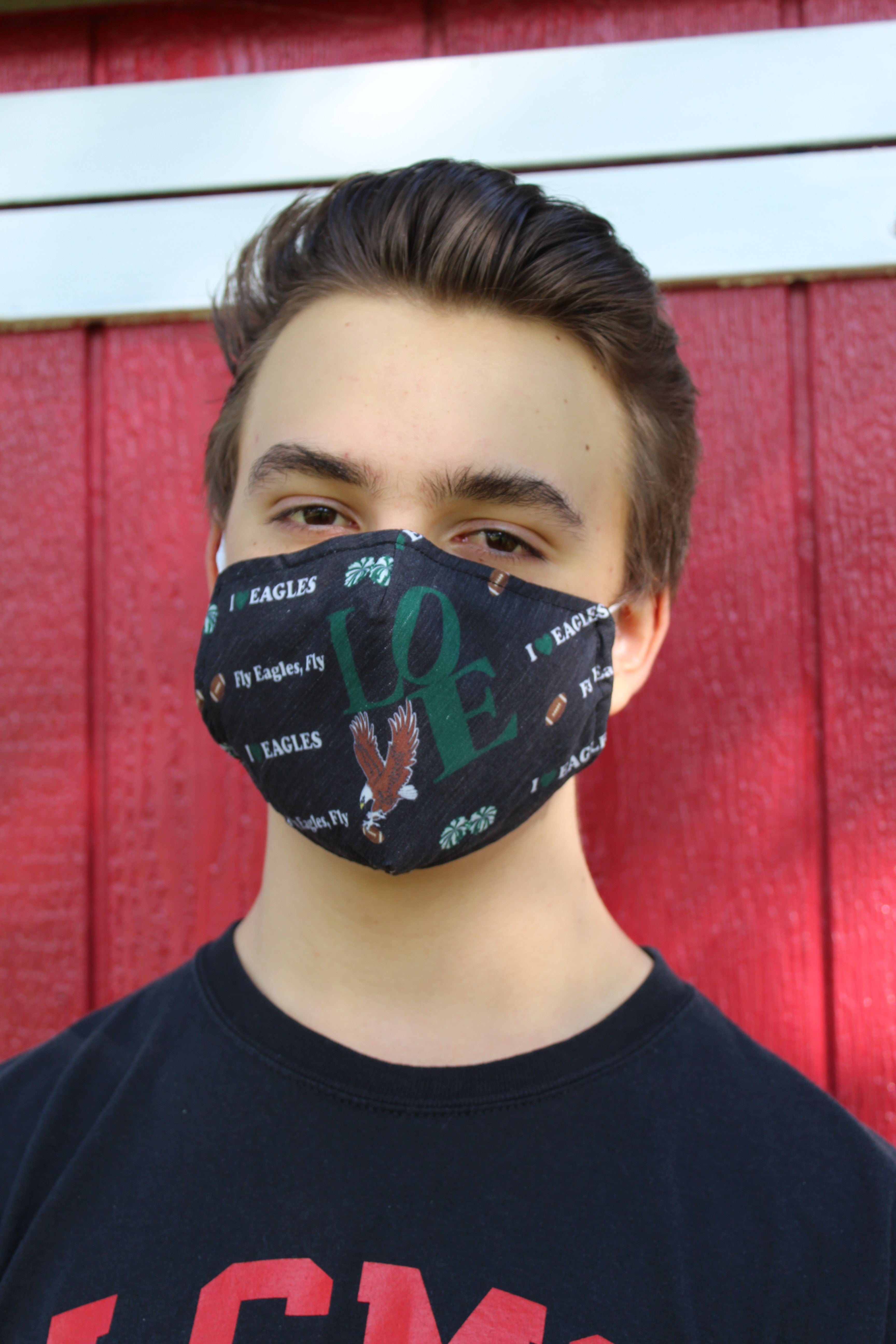 I Love Eagles Graphic Face Mask with Removable Filter