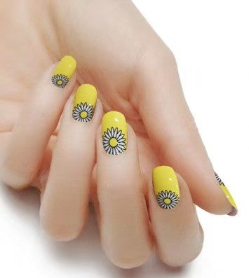 Smell the Daisies