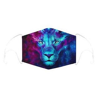 Graphic Face Mask with Removable Filter - Various Prints